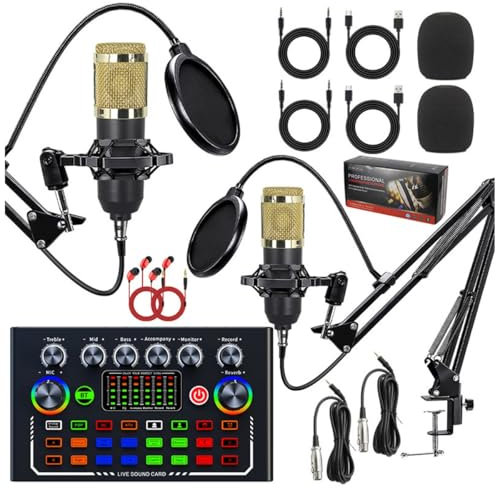 Ensemble D'équipement De Podcast Pour 2, Ensemble D'équipements De Podcast Avec Microphone À Condensateur, Réduction Intelligente Du Bruit En Un Clic, Pour L'enregistrement, Le Chant Et Les Jeux(Gold)