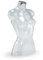 fella4stores Energy Damentorso kurz, BU945180 transparent aus Kunststoff, Schaufensterpuppe, Büste, bruchsicher