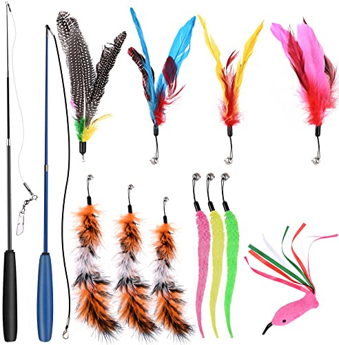 GOLDGE Jouet à Plumes pour Chats 13PCS, Canne à Pêche Rétractable