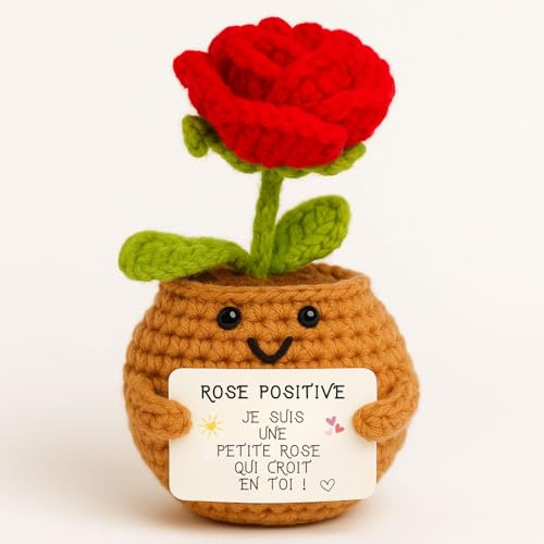 Rose Rouge Positive© | Cadeau Amour & Tendresse | pour Elle | I Love You | Idee & Surprise Romantique | Fete Anniversaire & Merci | Femme Fille Copine Maman Mere Amie Couple | Deco Maison Handmade
