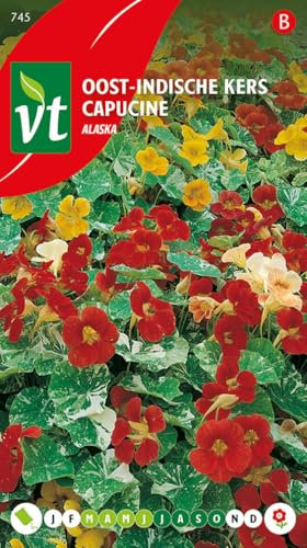 Capuchina de jardín, berro de indias Alaska - semillas de flores