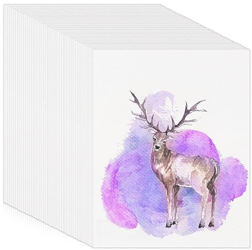 120 Blätter Aquarellpapier 300gsm, 22,8x15,2 cm Dickes Wasserfarben Papier Malpapier Zeichenblock Watercolor Aquarellblock Karten für Geburtstag