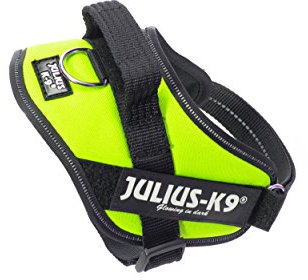 JULIUS K-9 IDC Powergeschirr, Größe: XS / Mini-Mini, Neon Grün, 16IDC-NE-MM