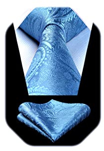 HISDERN Cravate Homme Paisley Cravates en Soie pour Hommes Mariage Cravatte et Pochette Set