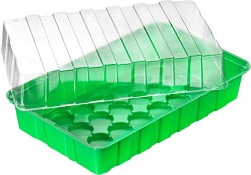 Meister Zimmer-Gewächshaus - 36 x 22 x 13 cm - Für bis zu 18 Pflanzen - Mit Vertiefungen & Wasserrinnen / Anzuchthaus für Samen & Setzlinge / Zimmer-Treibhaus / FLOR79020, Grün