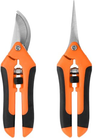 BigKego 2 Stück Gartenschere Baumschere Set Trimmschere Ernteschere Scharfe Rosenschere Pflanzenschere Bypass Rebschere Bonsai Schere Edelstahl für Garten Bonsai Blumen Pflanzen Ernte Obst Gemüse