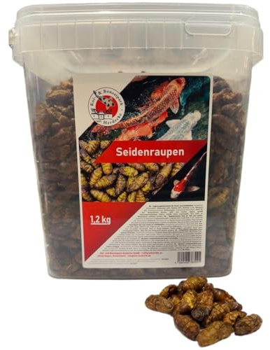 Bachi da seta di alta qualità, 1,2 kg, 5 litri, secchi, sani, per roditori di tartarughe, pesci, uccelli, rettili (5 litri)