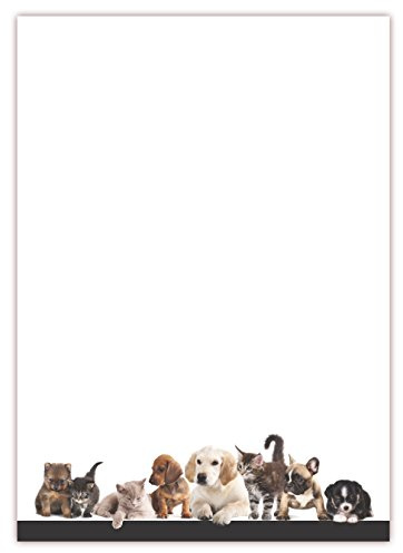Motiv Briefpapier (Tiere-5042, DIN A4, 100 Blatt). Einseitig bedrucktes Briefpapier, sehr gut beschreibbar, Motivpapier für alle Drucker/Kopierer geeignet Motiv Tiere Hunde Katzen Tierhandlung Zoo Tierbedarf