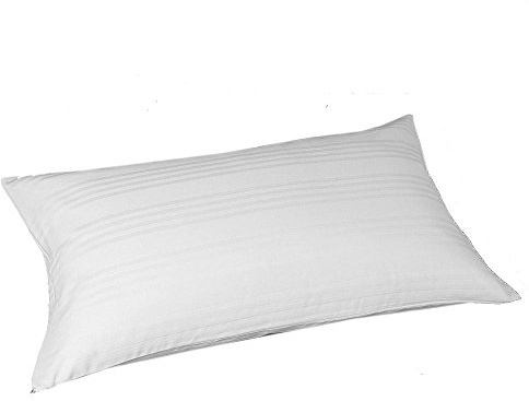 Irge 2 federe per guanciali Cuscino Cerniera in Puro Cotone 50X80 CM