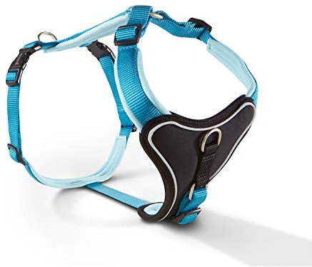 Wolters | Geschirr Professional Comfort in Aqua/Azur | Brustumfang 27 - 32 cm