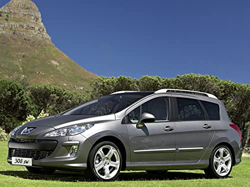 Luxyline Baguette de Protection latérale chromée pour Peugeot 308 SW 08-14