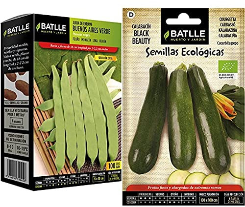 Semillas Batlle Judia Buenos Aires Verde S.EVITA & Calabacín Black Beauty - ECO