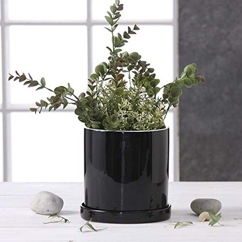 Vaso da fiori in ceramica Vaso in ceramica bonsai perforato cilindrico luminoso con vassoio Ornamenti da giardino per la casa Vasi da fiori Vasi da fiori in ceramica Contenitori decorativi per piante