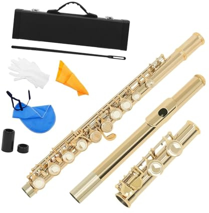 tvärflöjt instrument Flöjt 16 hål C nyckelinstrument