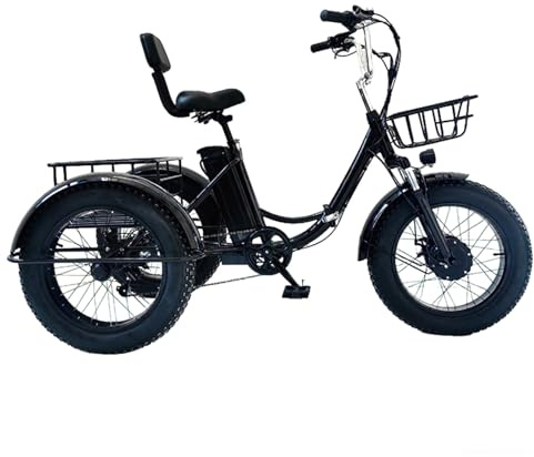 FRANREADER Triciclo Elettrico per Adulti, Bicicletta a 3 Ruote Da 20 Pollici, Batteria Al Litio Rimovibile Da 48 V E 12 Ah, Con Cestino Di Grandi Dimensioni, Carico 300 Kg