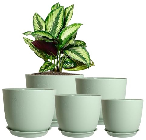 MUAEEOK Set of 5 Plant Pots 25/23/20/18/16 CM, Modern Decorative Plastic Planters with Drainage Holes and Saucers Plastic Flower Pots Nursery Planting Pot for House Indoor Flowers Plants (Green)