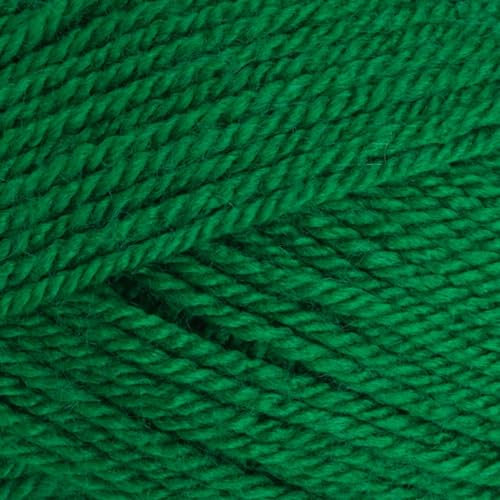 Stylecraft 9041116 Special DK Green (1116) Yarn - 100g