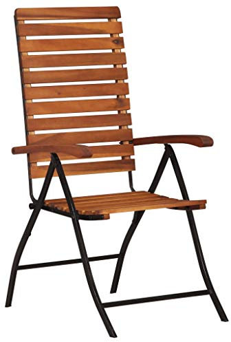 Festnight 2er Set Klappstühle aus Akazienholz und Stahlrahmen | Holz Klappbare Essstühle Gartenstühle Klappsessel Garten-Liegestühle | für den Innen- und Au?enbereich