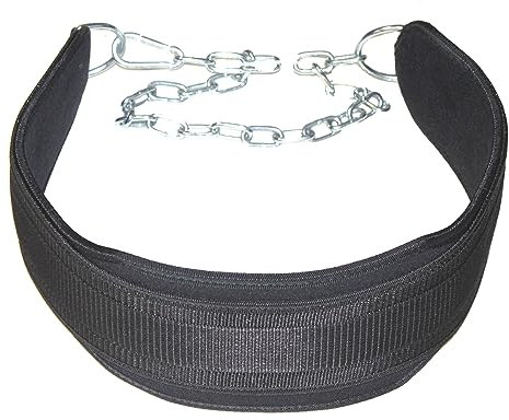 LISARO Dip Gürtel aus Nylon Dip Gürtel - mit Stahlkette und Karabiner, Nylon, Schwarz - Gewichthebergürtel, Gewichtheben für Bodybuilding Dip Gürtel mit verchromter Stahlkette