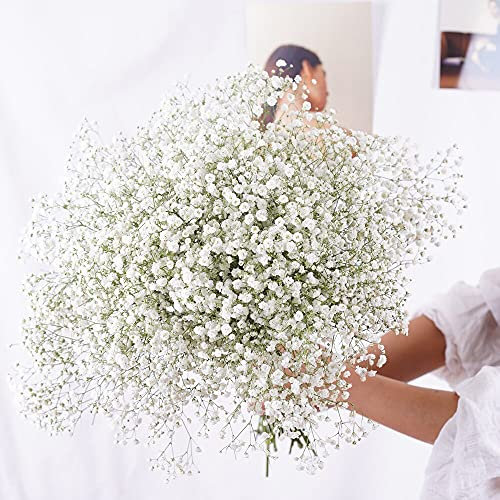 YIWOYI Bouquet di fiori secchi naturali, Gypsophila paniculata, ideali per feste di nozze o decorazione della casa,15-30 cm, 20 g, bianco