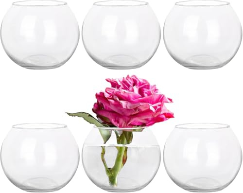HWASHIN Set of 6 Clear Glass Vases, 4.7” W x 3.5” H, Round Candle Holders, Bubble Bowl, Flower Vases with Sponge Brush, Decorative Centerpieces for Wedding Home Decor