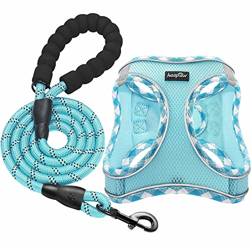 haapaw Ensemble Harnais et Laisse pour Chien - Harnais réglable et réfléchissant avec Gilet rembourré épais pour Chiens de Taille XS et Moyenne