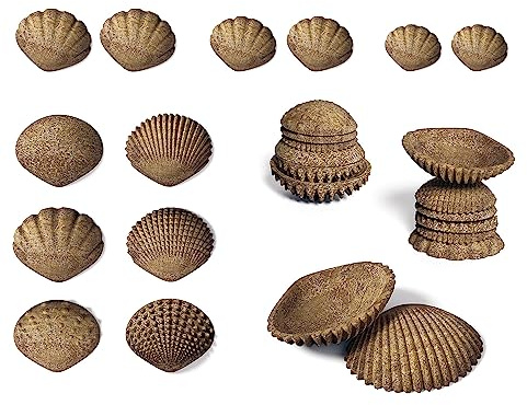 edxeducation Tactile Shells - Eco-Friendly - 36 Pieces, 6 Textures, 3 Sizes - Ages 18m+ - Sensory Play - Dough and Clay Toys