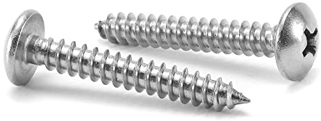 #10 x 1-1/4 Wood Screw 100Pcs Truss Head Phillips 18-8 (304) Stainless Steel Fast Self Tapping Screws by SG TZH