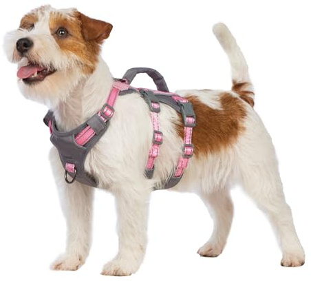 Huntboo Utrymningssäker Hundsele Medium, Anti-Trek Hundsele med Handtag, Andningsbar, Justerbar, Reflekterande Hundselar, Lättviktig Hundsele för Små och Stora Hundar Utomhus (Ljusrosa,XS)