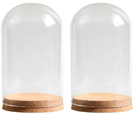 TEMOOUES Ensemble 2 Petites Cloche en Verre Dôme avec des Cloches Verre Base en LIK