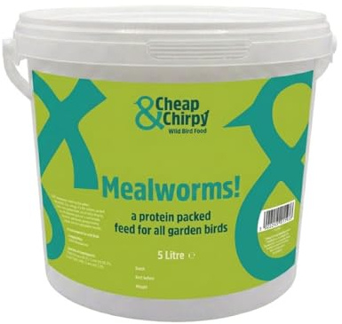 Cheap & Chirpy Dried Mealworms for Wild Birds - 5 Litre Tub - Meal Worms for Garden Birds - Squirrel & Hedgehog Food - Swan & Duck Feed (packaging may vary)