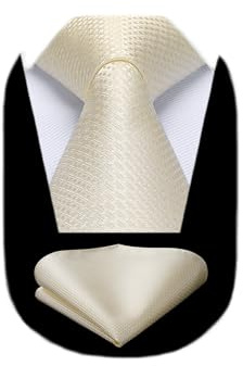 HISDERN Cravate pour homme de couleur unie et carré de poche classique pour mariage homme cravate formelle élégante fête d'affaires, Champagne clair, taille unique