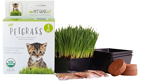 Handy Pantry Organic Cat Grass Kit - Includes 3 Trays, Soil Pucks, and 3 Packs Non GMO Wheatgrass Seed - A Healthy Treat For Cats, Dogs, Rabbits, More