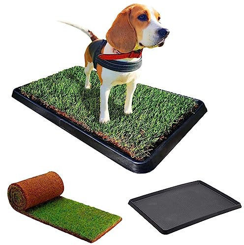 Kit M Cane PetZolla - Lettiera per cani in Vera Erba con Vassoio Riutilizzabile 92x52 cm, Traversine 100% Naturali e Atossiche, Toilette per cani in vero prato dura fino a 4 Settimane