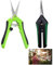 2 Pièces Sécateur de Jardin, Sécateur de Jardin Professionnel Ciseaux Sécateurs Lames Droites Sécateur à Fleurs Bonsai Plantes pour Tailler Jardins Arbustes Clôtures Branches et Rameaux Frais