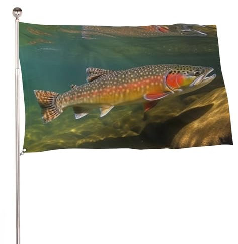 Drapeau de bienvenue personnalisé de 61 x 88,9 cm - Drapeaux amusants de ruisseau, truite, pêche à la mouche, maison, extérieur, cour - Drapeau de bienvenue pour l'hiver et le printemps - Pour