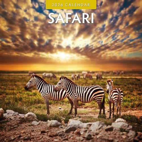 Red Robin 2026 Safari Monthly Wall Calendar | 12 x 24 Open | Premium Thick & Sturdy Paper | Hangable 12 Month Calendar | Lined Notes & To Do Area | Vivid Images | Plastic Free