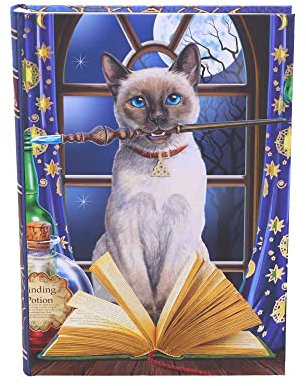 Nemesis Now Lisa Parker Hocus Pocus Tagebuch, mehrfarbig, 17 cm