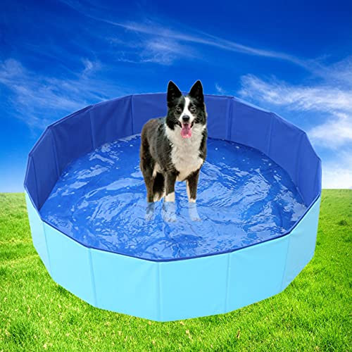 Cozywind Piscina Plegable para Perros Bañera para Mascota Piscina Portátil para Niños PVC Antideslizante 100% Seguro y No Tóxico (120 x 30 cm)