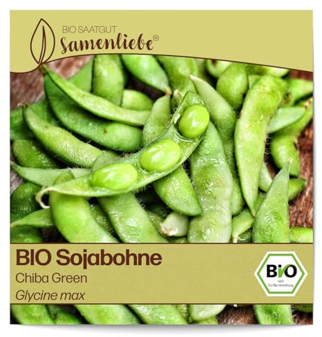 Samenliebe BIO Sojabohne Samen Chiba Green 20 Samen samenfestes Gemüse Saatgut für Gewächshaus Freiland und Balkon BIO Gemüsesamen