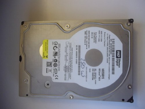 WD RE WD2500YS - Hard drive - 250 GB - internal - 3.5 - SATA-300 - 7200 rpm - buffer: 16 MB (pack of 20 )