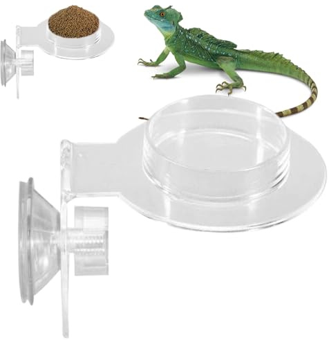 Reptil Vattenskål Akryl Klättrings Vattenbehållare För Klätterdjur