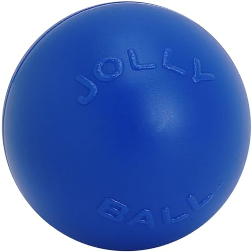Jolly Pets Push-n-Play Ball Dog Toy, 14 Inches/Extra-Large, Blue (314 BL), for All Breed Sizes