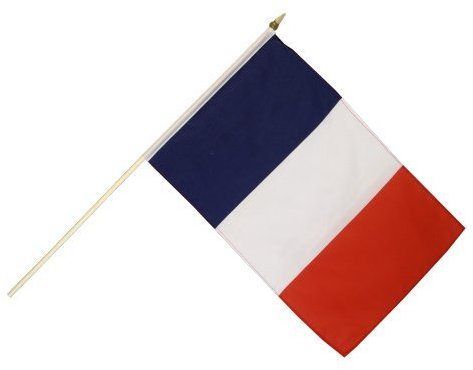 Digni® Drapeau France sur hampe