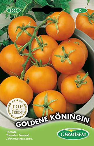 Germisem graines Tomate GOLDENE KÖNINGIN