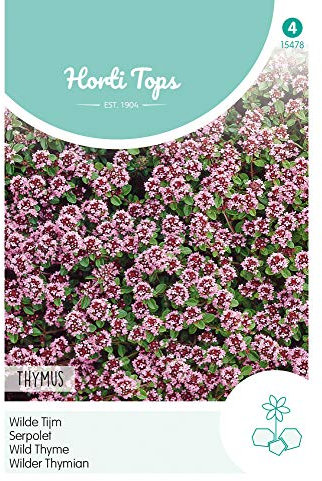 Hortitops 15478 Thym sauvage (graines de thym)