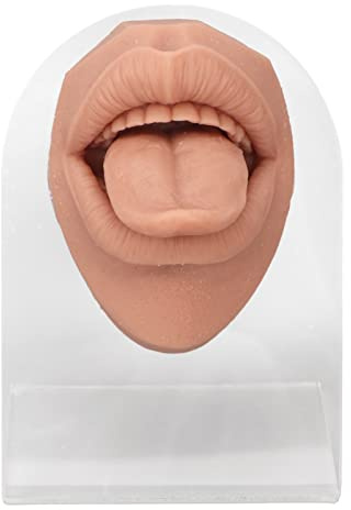 Mjuk Silikon Tungmodell, Öppen Mun, Fake Tounge, Flexibel Mänsklig Tunga Munform med Tänder, Kroppsdelar för Att Träna Piercing Akupunktur Smycken Display, Simuleringstunga(Köttblond)
