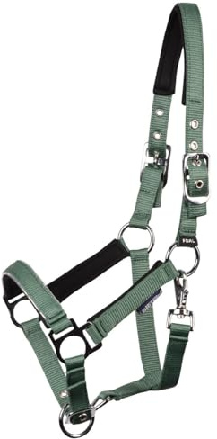 JA Horse JA4041 - Cabezal de potro Pepper – Cabestro ajustable para potro con acolchado de neopreno en cuello y nariz (verde, mini potro)