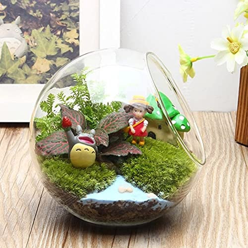 Vase Paysager en Verre Géométrique avec Plantes Artificielles, Pots pour Succulentes, Terrarium, Boules Transparentes