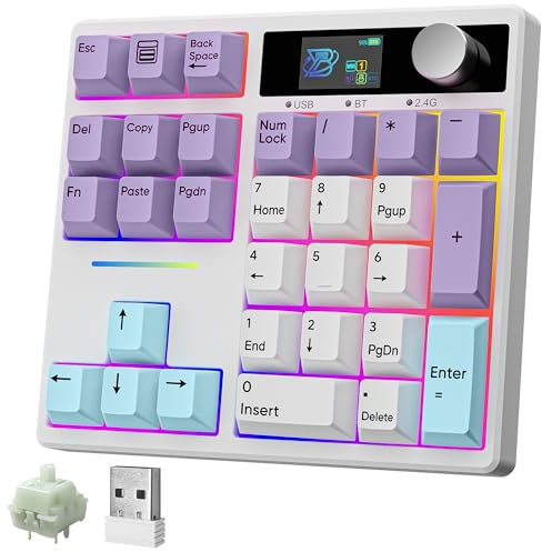 BOYI TD31Pro Mechanical Number Pad,Bluetooth5.0/2.4G/Type-C Wireless Numeric Keypad,RGB HotSwap Numpad with Screen&Knob,PBT Keycap Rechargeable Gasket Number keypad for PC Laptop (White-Purple)